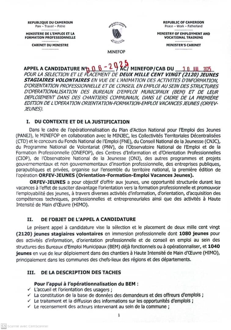 « Orientation-Formation-Emploi Vacances Jeunes » (ORFEV-JEUNES)